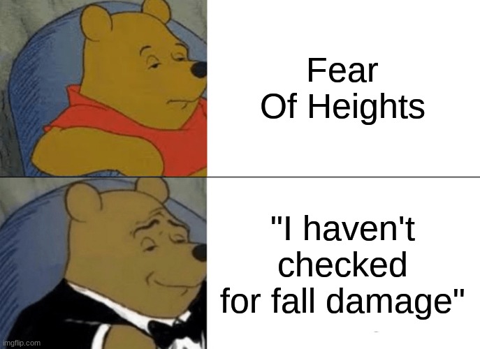 Tuxedo Winnie The Pooh Meme | Fear Of Heights; "I haven't checked for fall damage" | image tagged in memes,tuxedo winnie the pooh | made w/ Imgflip meme maker