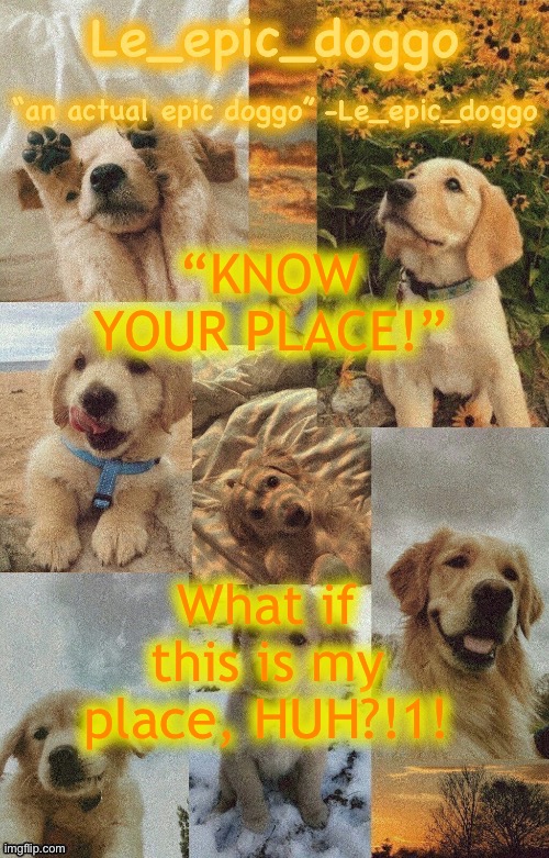Doggo temp by doggo. Wait what that’s confusing | “KNOW YOUR PLACE!”; What if this is my place, HUH?!1! | image tagged in doggo temp by doggo wait what that s confusing | made w/ Imgflip meme maker