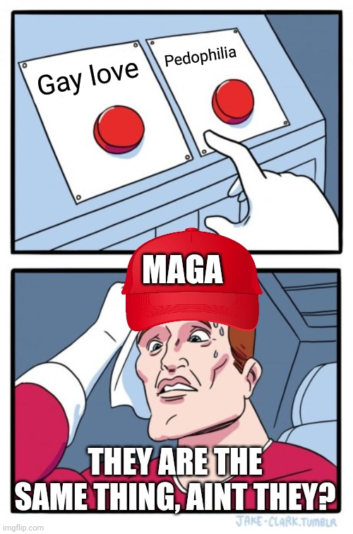 Confused and scared of the boogeyman! | Pedophilia; Gay love; MAGA; THEY ARE THE SAME THING, AINT THEY? | image tagged in memes,two buttons | made w/ Imgflip meme maker