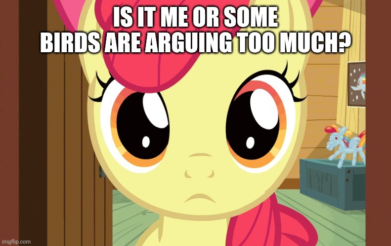 Confused Applebloom (MLP) | IS IT ME OR SOME BIRDS ARE ARGUING TOO MUCH? | image tagged in confused applebloom mlp | made w/ Imgflip meme maker