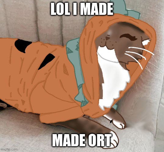 Patches my beloved <3 | LOL I MADE; MADE ORT | made w/ Imgflip meme maker