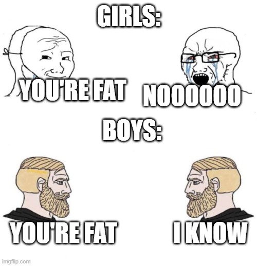boys vs girls | GIRLS:; YOU'RE FAT; NOOOOOO; BOYS:; YOU'RE FAT; I KNOW | image tagged in soyboy vs soyboy | made w/ Imgflip meme maker