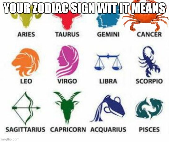 Zodiac Signs | YOUR ZODIAC SIGN WIT IT MEANS | image tagged in zodiac signs | made w/ Imgflip meme maker