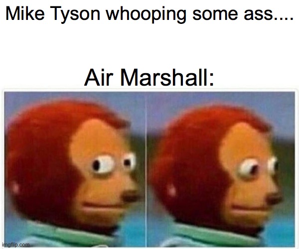 Mile High Mike | Mike Tyson whooping some ass.... Air Marshall: | image tagged in memes,monkey puppet | made w/ Imgflip meme maker