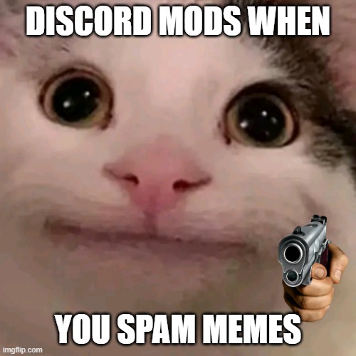 when discord mods see people spamming memes | DISCORD MODS WHEN; YOU SPAM MEMES | image tagged in beluga | made w/ Imgflip meme maker