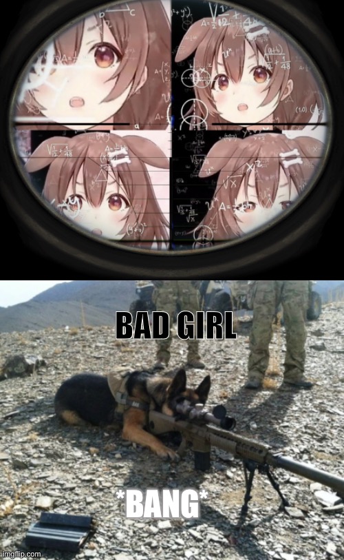 Anti_Anime_Memes sniper dog Memes & GIFs - Imgflip