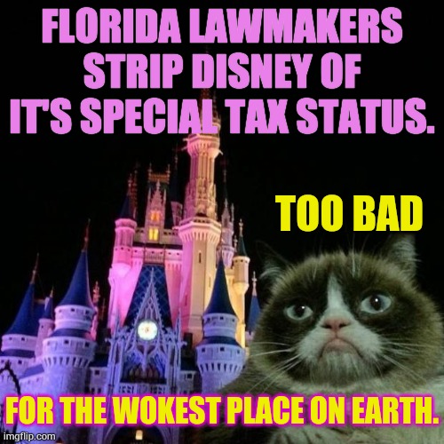 Grumpy Cat's Opinion |  FLORIDA LAWMAKERS STRIP DISNEY OF IT'S SPECIAL TAX STATUS. TOO BAD; FOR THE WOKEST PLACE ON EARTH. | image tagged in memes,politics,grumpy cat,opinion,disney,florida | made w/ Imgflip meme maker