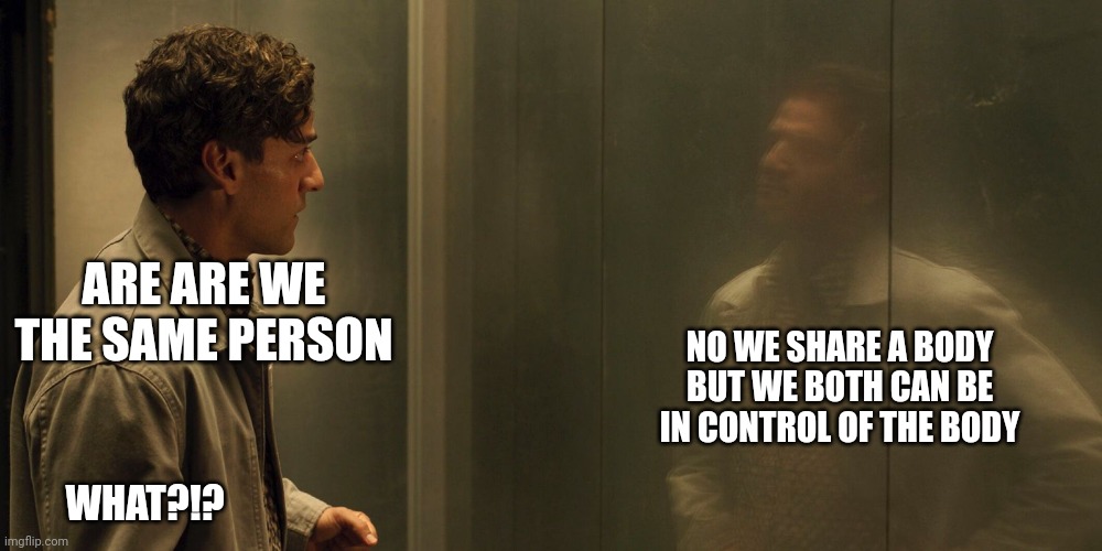 Mk | ARE ARE WE THE SAME PERSON; NO WE SHARE A BODY BUT WE BOTH CAN BE IN CONTROL OF THE BODY; WHAT?!? | image tagged in mk | made w/ Imgflip meme maker