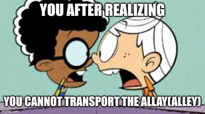 *visible confusion* | YOU AFTER REALIZING; YOU CANNOT TRANSPORT THE ALLAY(ALLEY) | image tagged in shocked lincoln and clyde,visible confusion,memes,funny,the loud house | made w/ Imgflip meme maker