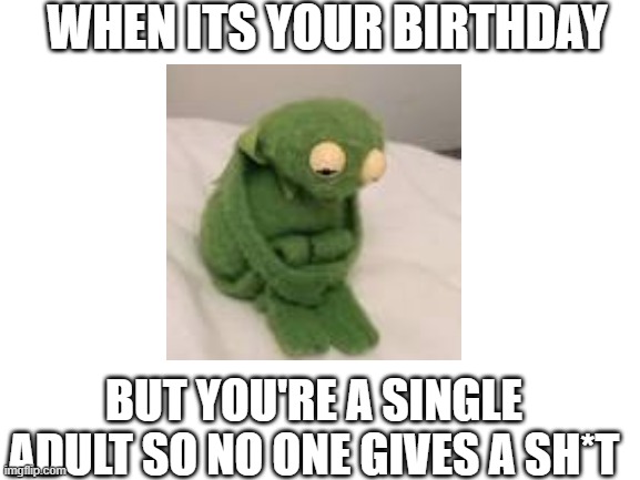 Blank White Template | WHEN ITS YOUR BIRTHDAY; BUT YOU'RE A SINGLE ADULT SO NO ONE GIVES A SH*T | image tagged in blank white template | made w/ Imgflip meme maker