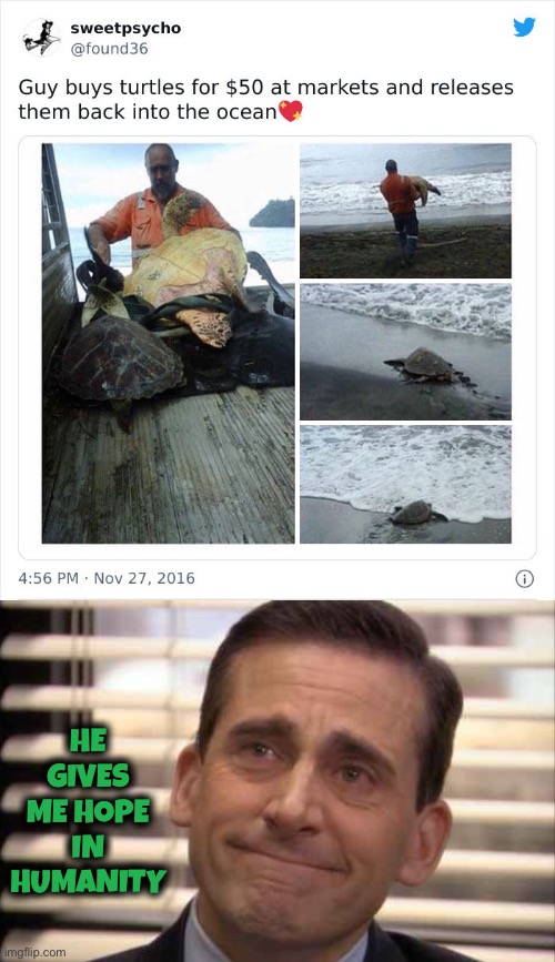 HE GIVES ME HOPE IN HUMANITY | image tagged in wholesome,turtles,release into the ocean,memes,kindness | made w/ Imgflip meme maker