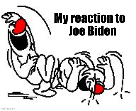 LOL Hysterically | My reaction to   
Joe Biden | image tagged in lol hysterically | made w/ Imgflip meme maker