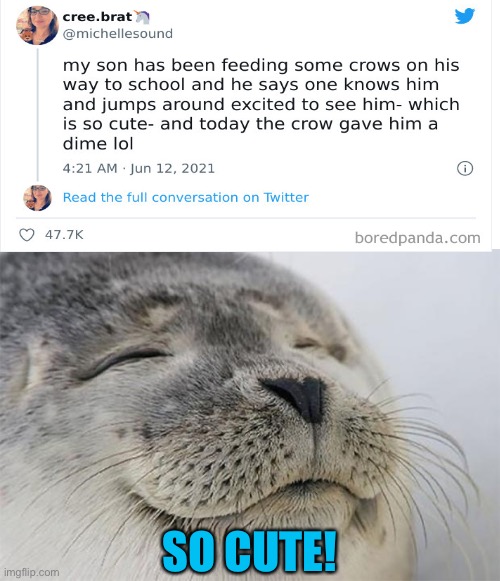 Satisfied Seal |  SO CUTE! | image tagged in memes,satisfied seal,wholesome,kids,feed birds | made w/ Imgflip meme maker