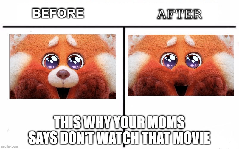 this is what happened when you remove nose mei red panda | BEFORE; AFTER; THIS WHY YOUR MOMS SAYS DON'T WATCH THAT MOVIE | image tagged in memes,turning red,can,be,cursed image | made w/ Imgflip meme maker