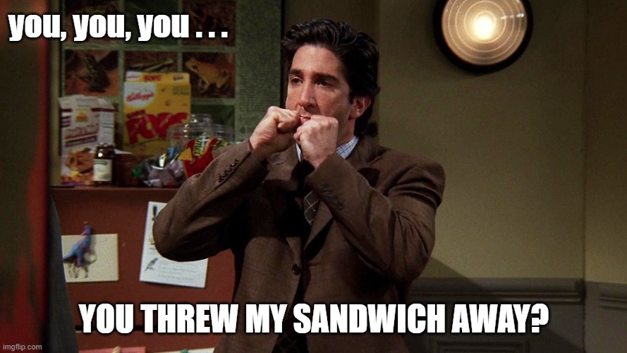 My Sandwich | you, you, you . . . YOU THREW MY SANDWICH AWAY? | image tagged in ross,friends,sandwich | made w/ Imgflip meme maker