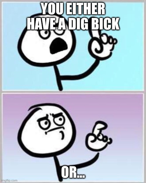 ill let you decide | YOU EITHER HAVE A DIG BICK; OR... | image tagged in wait what | made w/ Imgflip meme maker