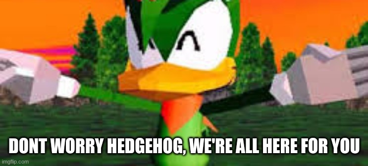 DONT WORRY HEDGEHOG, WE'RE ALL HERE FOR YOU | made w/ Imgflip meme maker