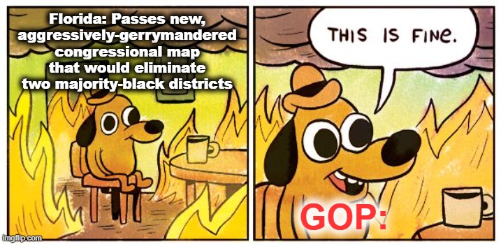 Diluting black representation is a pure example of the GOP's racism in action. | Florida: Passes new, aggressively-gerrymandered congressional map that would eliminate two majority-black districts; GOP: | image tagged in memes,this is fine,gop,republican party,congress,racism | made w/ Imgflip meme maker