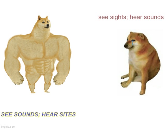 Buff Doge vs. Cheems Meme | see sights; hear sounds; SEE SOUNDS; HEAR SITES | image tagged in memes,buff doge vs cheems | made w/ Imgflip meme maker