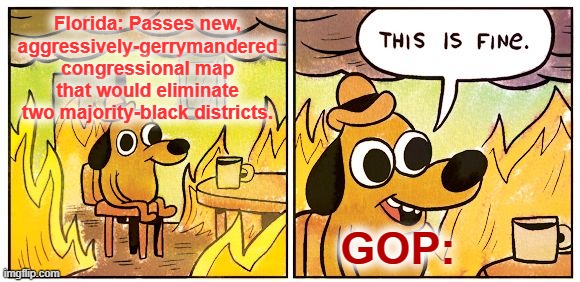 After this map, the GOP will likely hold at least 71% of Florida seats having won only 51.2% of the vote in 2020. | Florida: Passes new, aggressively-gerrymandered congressional map that would eliminate two majority-black districts. GOP: | image tagged in memes,this is fine,republican party,gop,republicans,gerrymandering | made w/ Imgflip meme maker