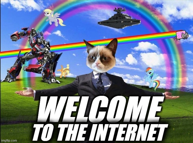 WELCOME; TO THE INTERNET | made w/ Imgflip meme maker