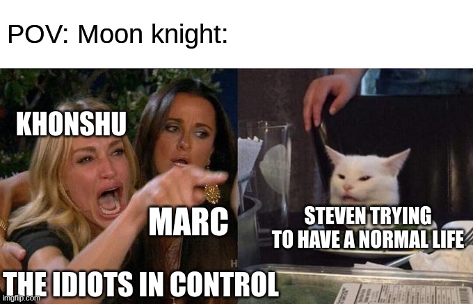 Idk | POV: Moon knight:; KHONSHU; MARC; STEVEN TRYING TO HAVE A NORMAL LIFE; THE IDIOTS IN CONTROL | image tagged in memes,woman yelling at cat | made w/ Imgflip meme maker