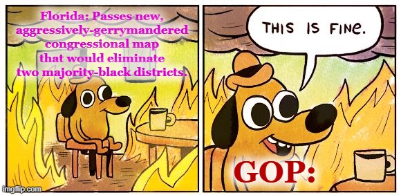 After this map, the GOP will likely hold at least 71% of Florida seats having won only 51.2% of the vote in 2020. | Florida: Passes new, aggressively-gerrymandered congressional map that would eliminate two majority-black districts. GOP: | image tagged in memes,this is fine | made w/ Imgflip meme maker