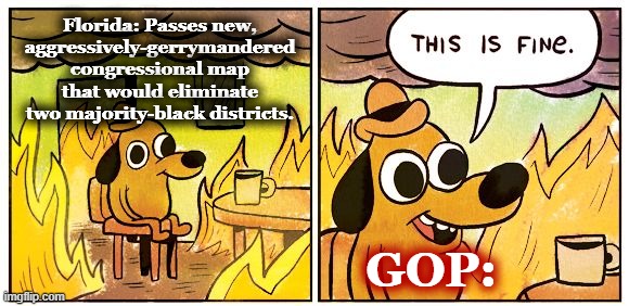 This Is Fine | Florida: Passes new, aggressively-gerrymandered congressional map that would eliminate two majority-black districts. GOP: | image tagged in memes,this is fine | made w/ Imgflip meme maker