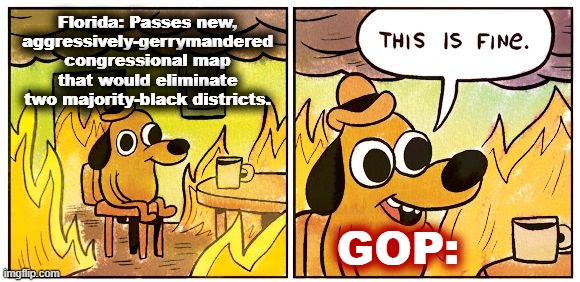 Ah yes, tell me more about how the GOP isn't racist | Florida: Passes new, aggressively-gerrymandered congressional map that would eliminate two majority-black districts. GOP: | image tagged in memes,this is fine | made w/ Imgflip meme maker