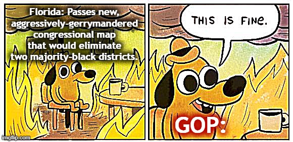 This Is Fine Meme | Florida: Passes new, aggressively-gerrymandered congressional map that would eliminate two majority-black districts. GOP: | image tagged in memes,this is fine | made w/ Imgflip meme maker