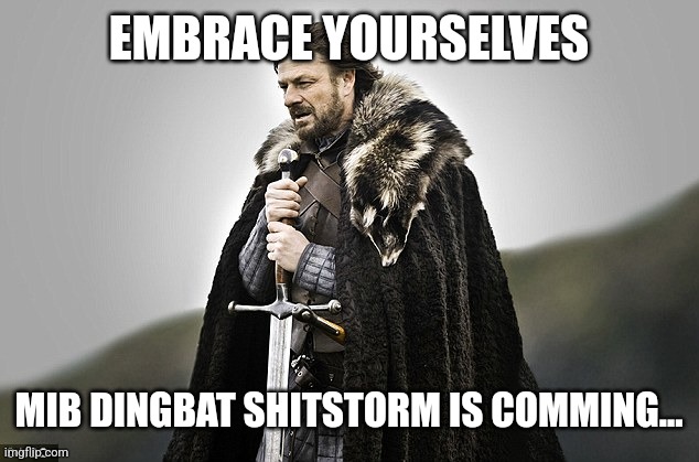 Embrace yourselves | EMBRACE YOURSELVES; MIB DINGBAT SHITSTORM IS COMMING... | image tagged in embrace yourselves | made w/ Imgflip meme maker