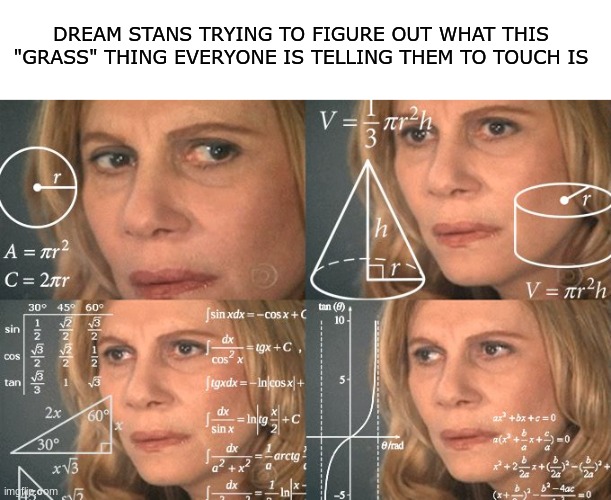 Calculating meme | DREAM STANS TRYING TO FIGURE OUT WHAT THIS "GRASS" THING EVERYONE IS TELLING THEM TO TOUCH IS | image tagged in calculating meme | made w/ Imgflip meme maker