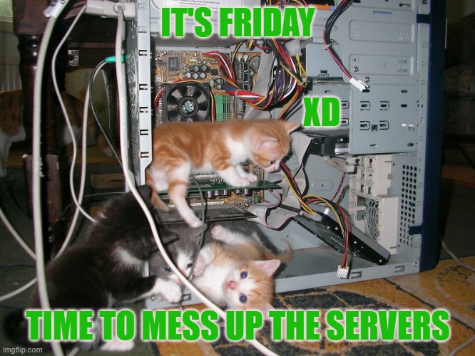 Server kitties | IT'S FRIDAY; XD; TIME TO MESS UP THE SERVERS | image tagged in server kitties | made w/ Imgflip meme maker