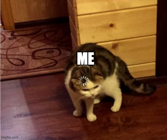 ME | image tagged in loading cat hd | made w/ Imgflip meme maker