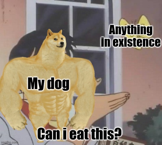 Actually true tho | Anything in existence; My dog; Can i eat this? | image tagged in original meme | made w/ Imgflip meme maker