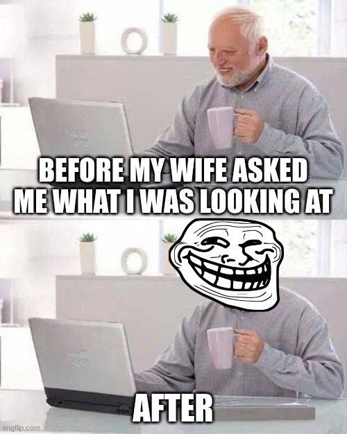Hide the Pain Harold Meme | BEFORE MY WIFE ASKED ME WHAT I WAS LOOKING AT; AFTER | image tagged in memes,hide the pain harold | made w/ Imgflip meme maker