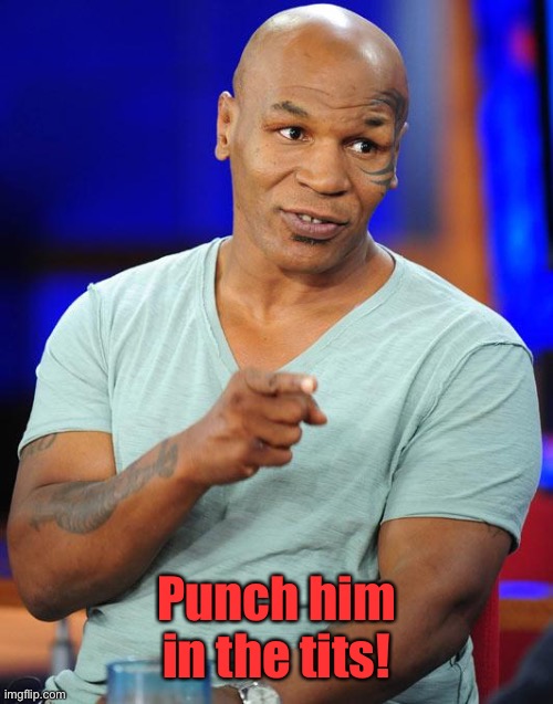 mike tyson | Punch him in the tits! | image tagged in mike tyson | made w/ Imgflip meme maker