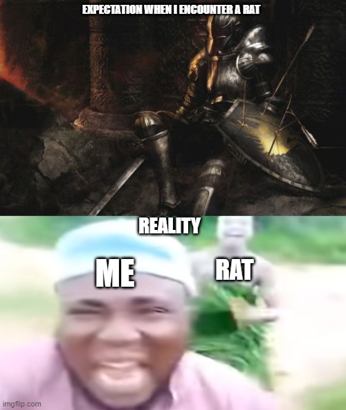 Based on what happen to me yesterday | EXPECTATION WHEN I ENCOUNTER A RAT; REALITY; ME; RAT | image tagged in memes,downcast dark souls | made w/ Imgflip meme maker