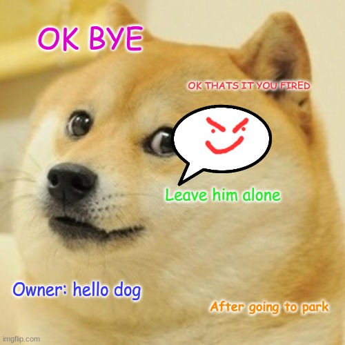 Doge After going to park and seeing this | OK BYE; OK THATS IT YOU FIRED; Leave him alone; Owner: hello dog; After going to park | image tagged in memes,doge | made w/ Imgflip meme maker