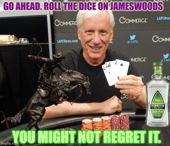 Jameswoodsisbestpresident | GO AHEAD. ROLL THE DICE ON JAMESWOODS; YOU MIGHT NOT REGRET IT. | image tagged in james,woods,party,take a chance,whats the worst that could happen | made w/ Imgflip meme maker