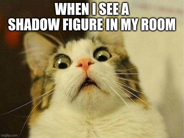 Shadow figure !!! | WHEN I SEE A SHADOW FIGURE IN MY ROOM | image tagged in memes,scared cat | made w/ Imgflip meme maker