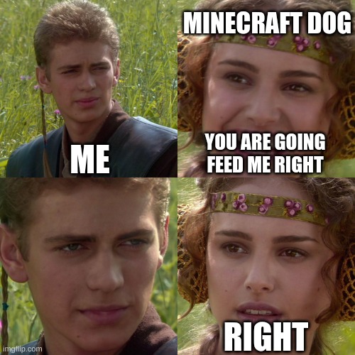 Minecraft | MINECRAFT DOG; ME; YOU ARE GOING FEED ME RIGHT; RIGHT | image tagged in anakin padme 4 panel,minecraft | made w/ Imgflip meme maker