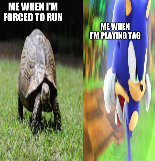 me when i'm forced to run vs me when i'm playing tag | ME WHEN I'M PLAYING TAG; ME WHEN I'M FORCED TO RUN | image tagged in sonic the hedgehog | made w/ Imgflip meme maker