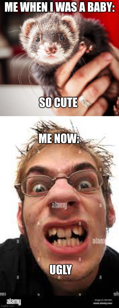 logic? | ME WHEN I WAS A BABY:; SO CUTE; ME NOW:; UGLY | image tagged in cute | made w/ Imgflip meme maker