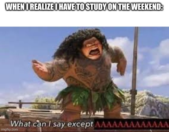 What can i say except aaaaaaaaaaa | WHEN I REALIZE I HAVE TO STUDY ON THE WEEKEND: | image tagged in what can i say except aaaaaaaaaaa | made w/ Imgflip meme maker