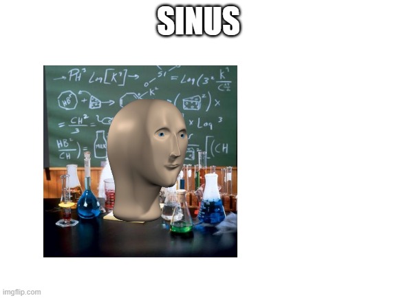 Blank White Template | SINUS | image tagged in blank white template | made w/ Imgflip meme maker