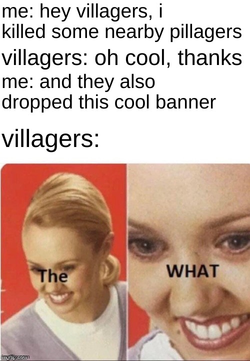 "hero" of the village | me: hey villagers, i killed some nearby pillagers; villagers: oh cool, thanks; me: and they also dropped this cool banner; villagers: | image tagged in the what lady,minecraft | made w/ Imgflip meme maker