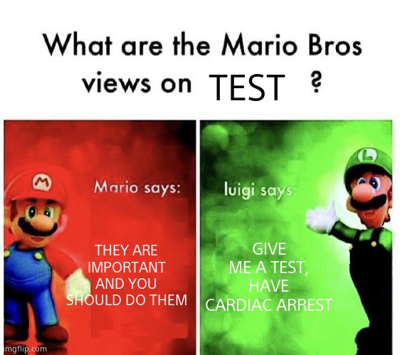 the mario bros views on tests | TEST; THEY ARE IMPORTANT AND YOU SHOULD DO THEM; GIVE ME A TEST, HAVE CARDIAC ARREST | image tagged in mario bros views | made w/ Imgflip meme maker