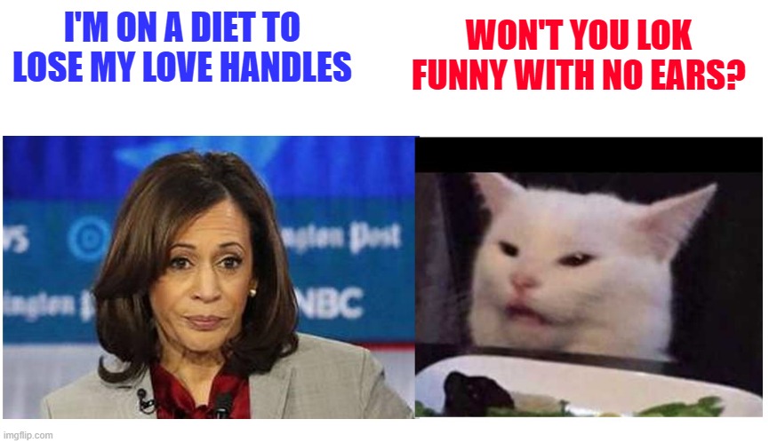Smudge and Kamala | WON'T YOU LOK FUNNY WITH NO EARS? I'M ON A DIET TO LOSE MY LOVE HANDLES | image tagged in smudge,kamala harris,veep | made w/ Imgflip meme maker