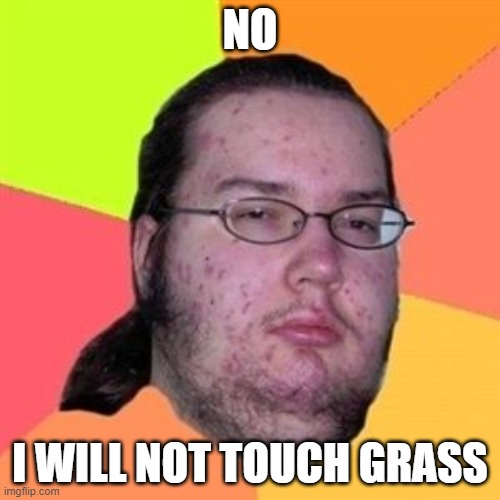 fat guy ponytail | NO; I WILL NOT TOUCH GRASS | image tagged in fat guy ponytail | made w/ Imgflip meme maker
